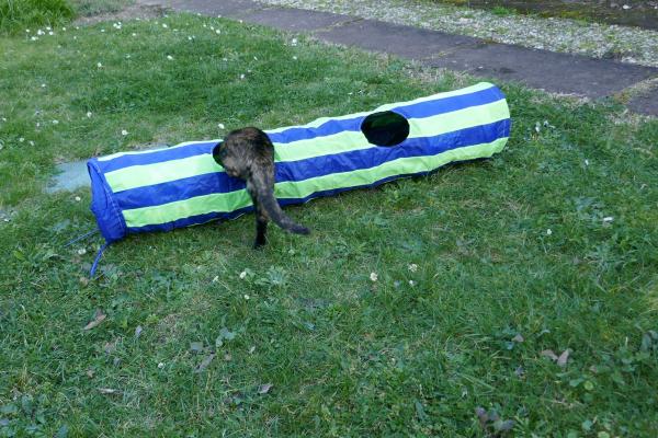 Un tunnel dans mon jardin