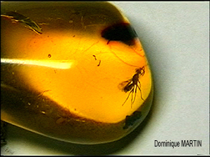 Photos insolites du monde minéral