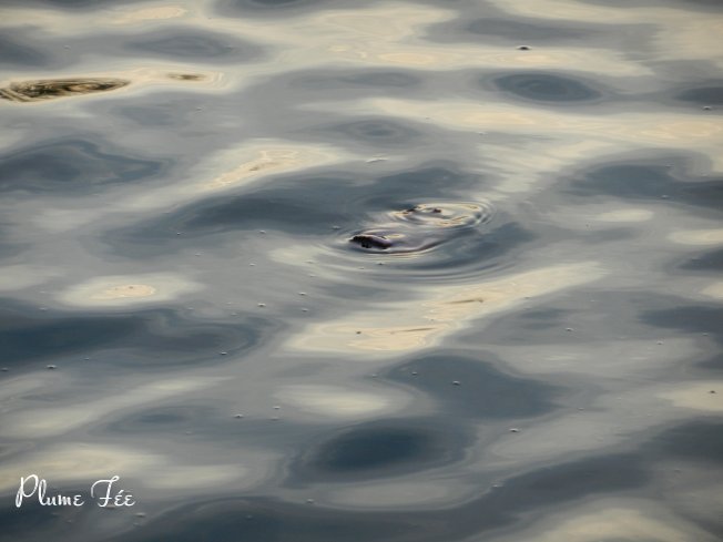 Image026.jpg