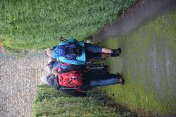 La randonnée du 6 octobre à Fontenay-le-Pesnel