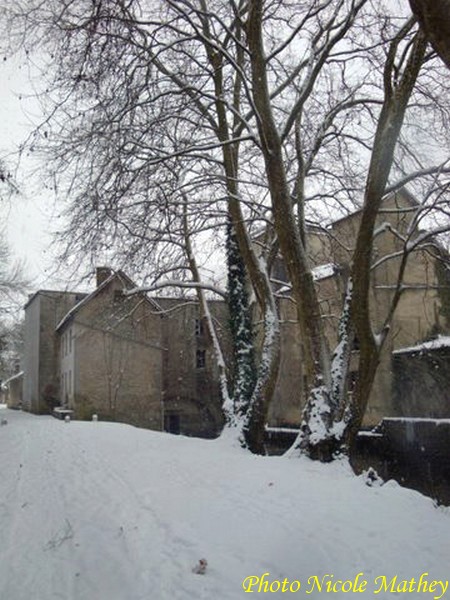 Le Comité d'aide aux personnes âgées de Châtillon sur Seine