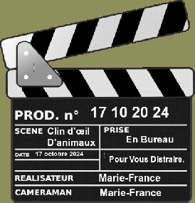 Les Yeux D'animaux ,
