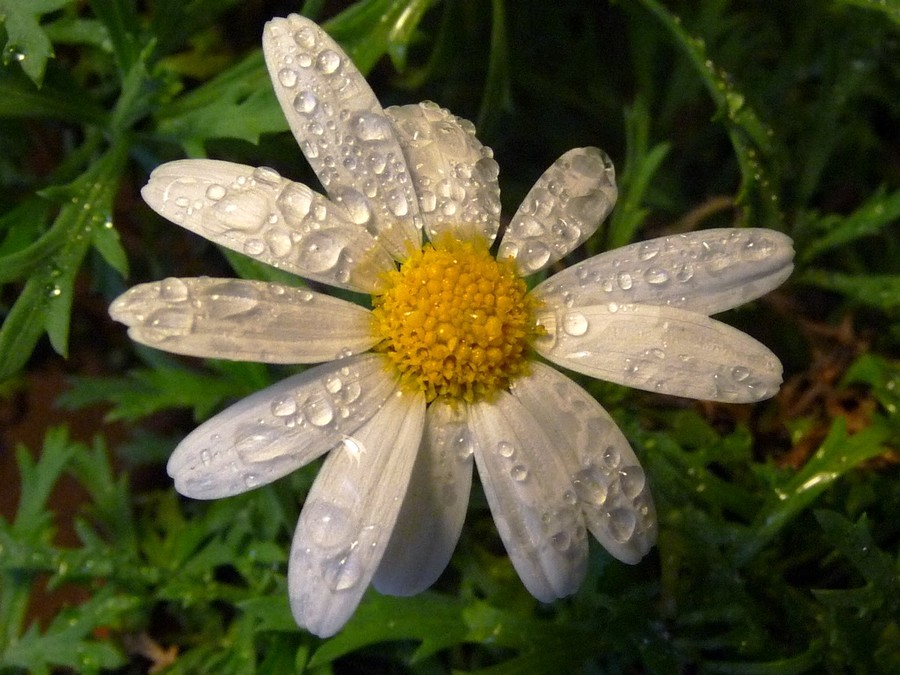 Pour le sourire de deux enfants ... et plus ...