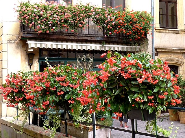 10 Photos Metz 18 Marc de Metz 2012