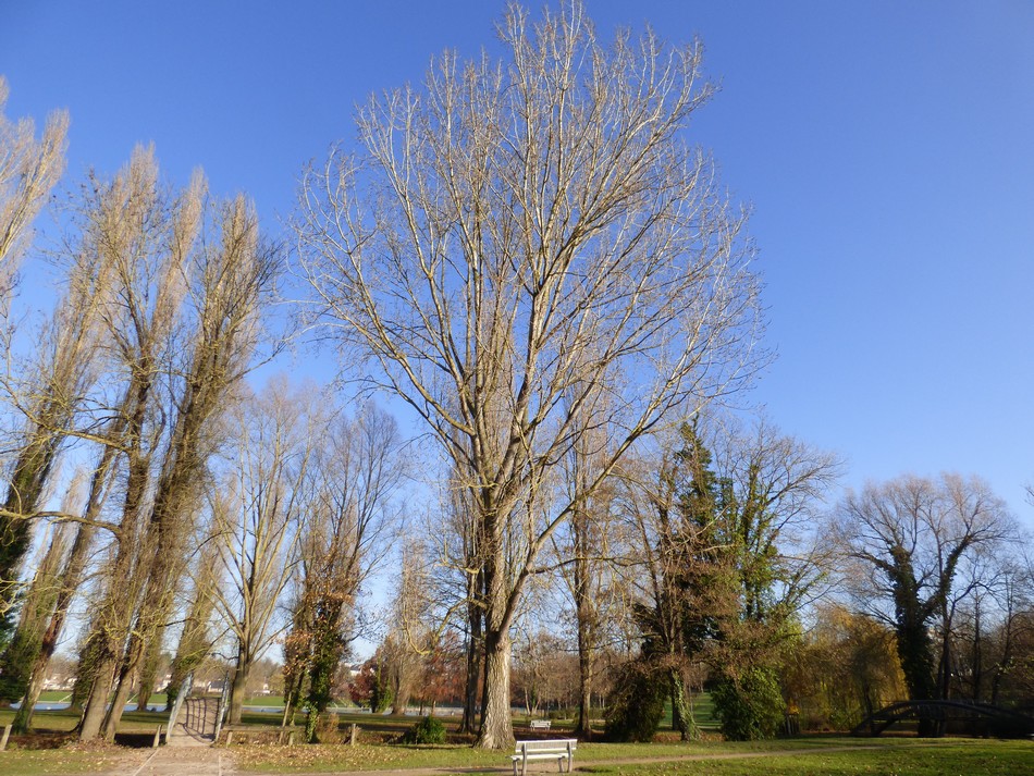 Irrésistiblement, elle m'appelle