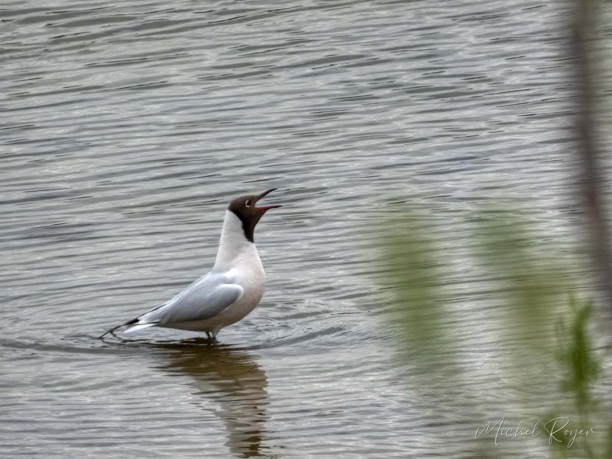 A L'Ecopôle du Val d'Allier dernièrement