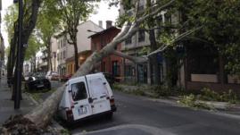 Les articles de journaux