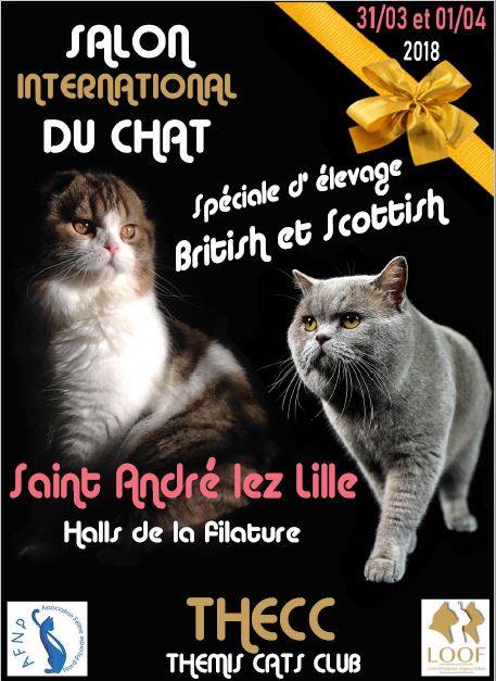 Expo du mois de mars : 