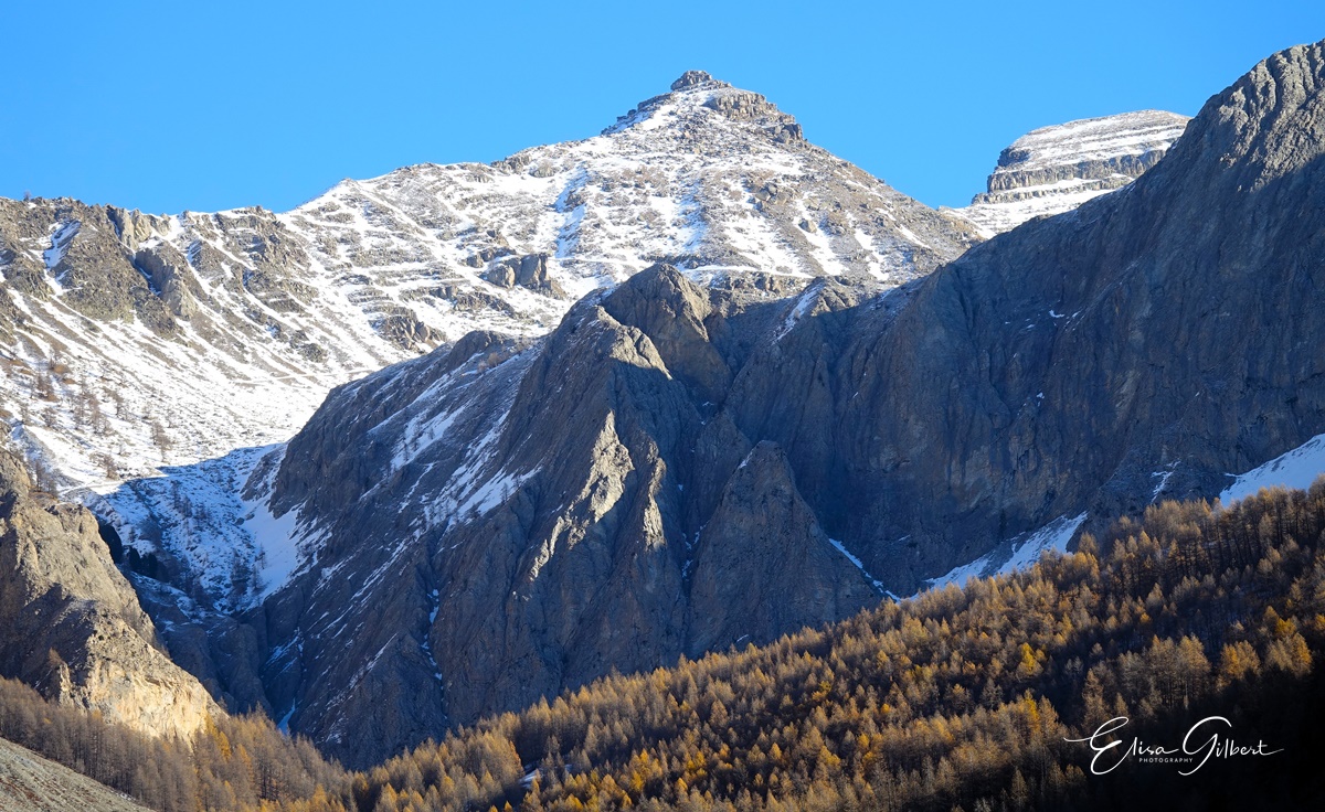 N°2 Clignon