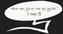 Héron garde-boeufs
