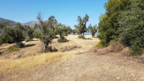 Le B de l'intérieur !