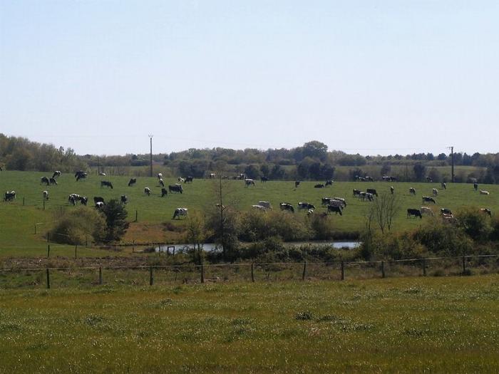 Département de l'Indre et Loire