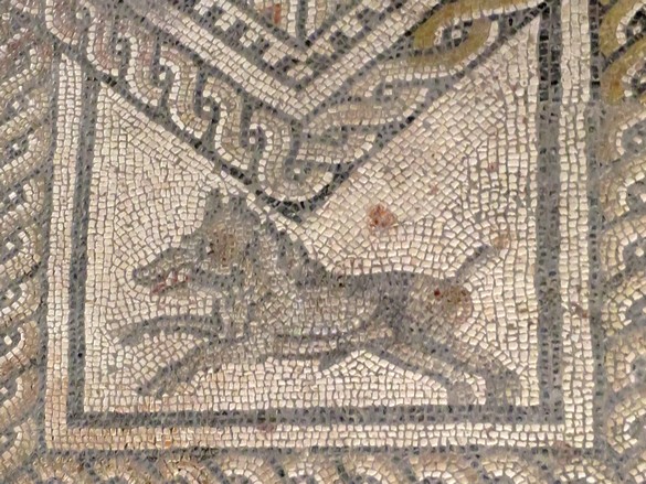 La ville de Grand dans les Vosges, possède une mosaïque gallo-romaine extraordinaire par sa taille et sa beauté !
