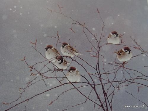 Lundi 21 au Dimanche 27.09 + Bonus