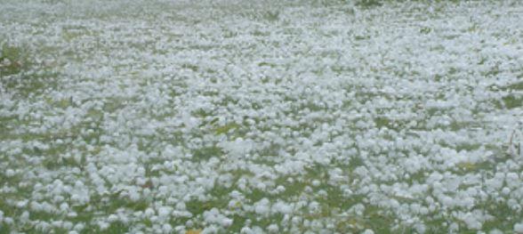 Pour EVY - Défi N° 1 ... !!!