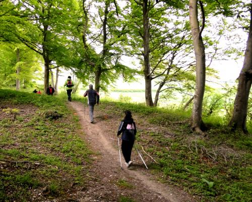 Sortie à la forêt de Guines Dimanche 18 Mai