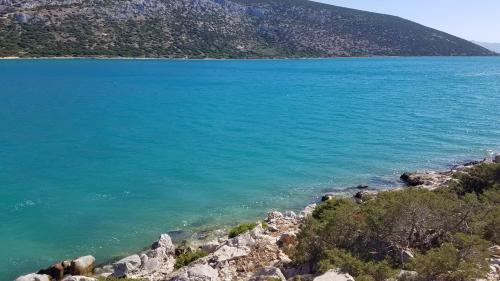 Le regard de la sentinelle