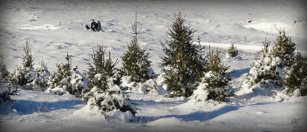 Pistes de ski dans un environnement préservé