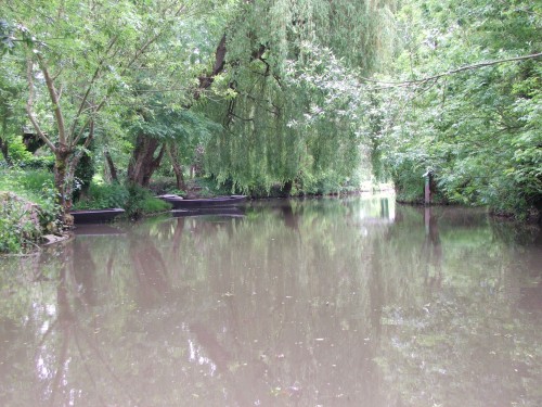 DSCF3545.JPG