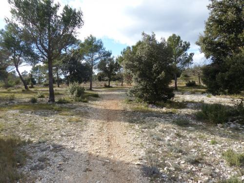 Barres du Castellet