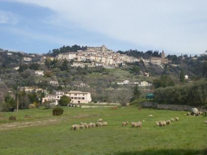 MONTAUROUX : le reportage !