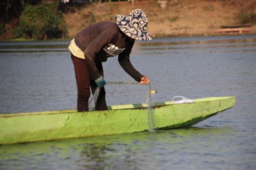 Balade en pirogue de l'île de Khong à l'île de Khöne