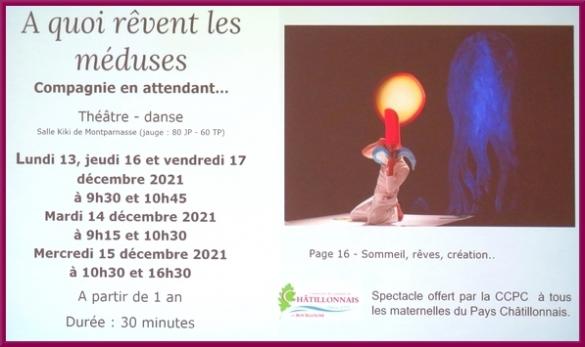 Le "Programme Jeune Public" du Théâtre Gaston Bernard pour 2021-2022a été présenté par sa Directrice, Catherine Miraton....