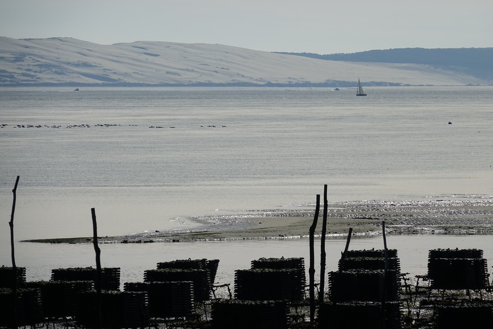 Balade d'après Noël, sur la presqu'île du Cap-Ferret...