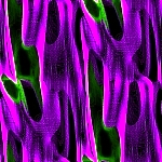 Textures pour textes