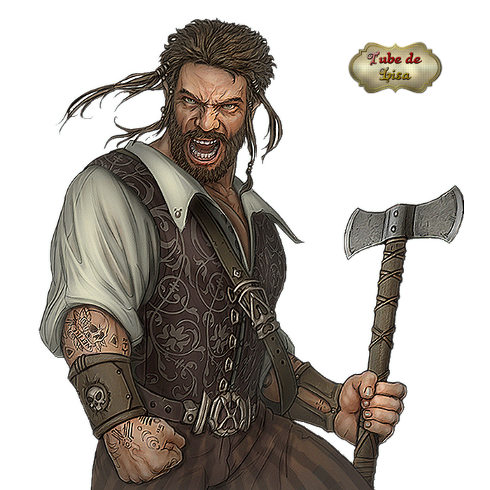 Pirates série 14