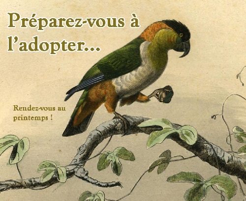 LES CARTES POSTALES D'EPOQUE