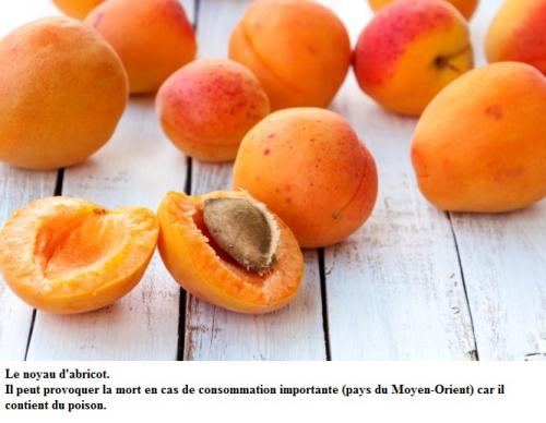 2-BAIES ROUGES – NOIRES attention !