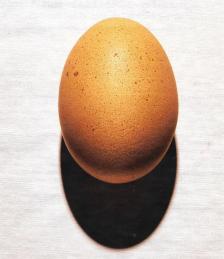 oeufs