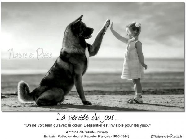 La pensée du jour (48)