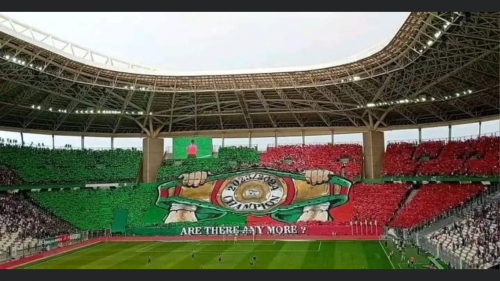MCA Champion 2023-2024, Tifo la ceinture du Champion