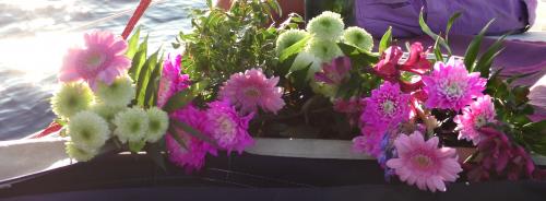 173 miles d'AJACCIO à LA CIOTAT