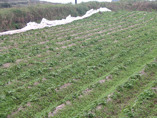 visite-batz-mars-2010 1181