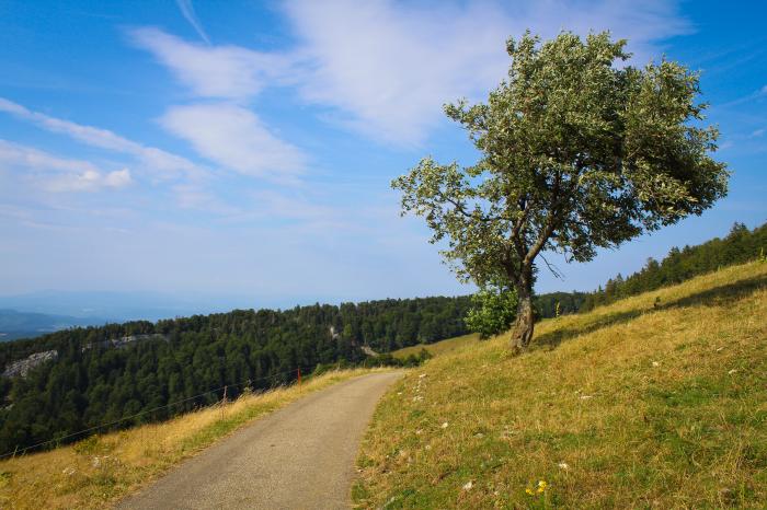 Département du  Haut-Rhin 