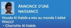 Semaine 2 (S1) - Quartier San Myshuno - Foyer Feng