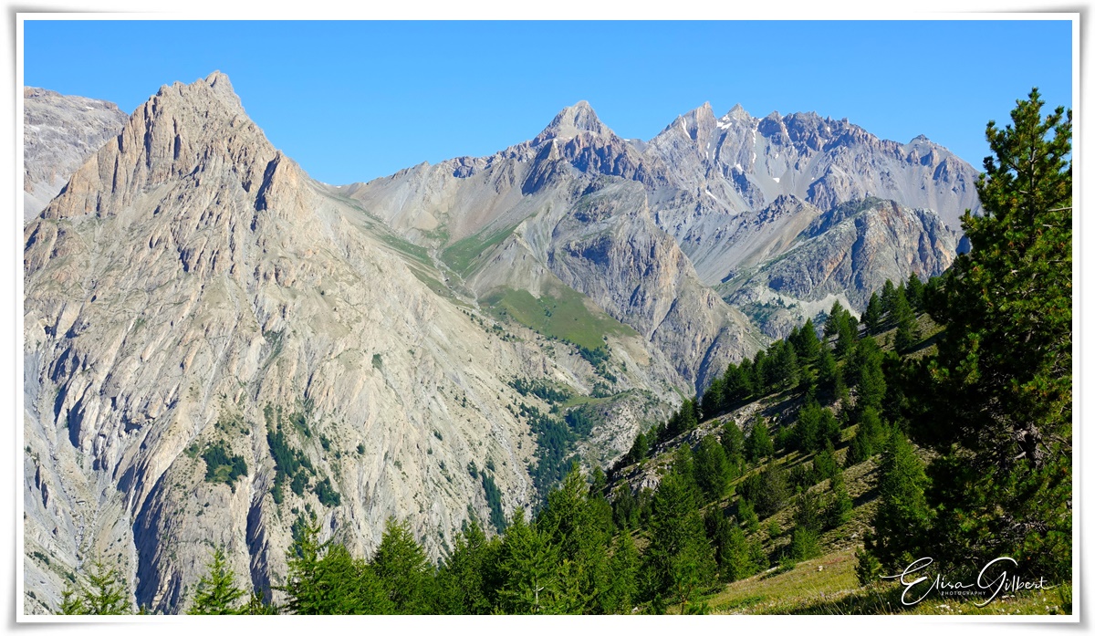 A la rencontre de l'Edelweiss