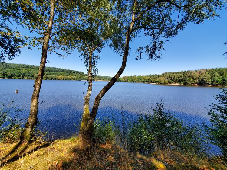 Pause au bord du lac