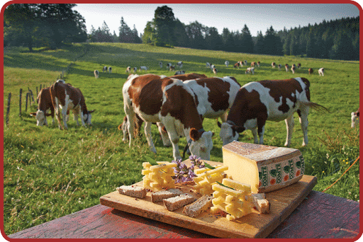 ╰⊱♥⊱╮ღ꧁ Département  25 ꧂ღ╭⊱♥≺