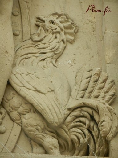 Image54.jpg