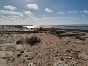 Depuis Essaouira le retour