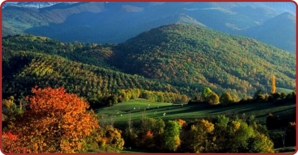 ╰⊱♥⊱╮ღ꧁ Département  27 ꧂ღ╭⊱♥≺