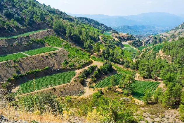 Chypre dans l'Europe