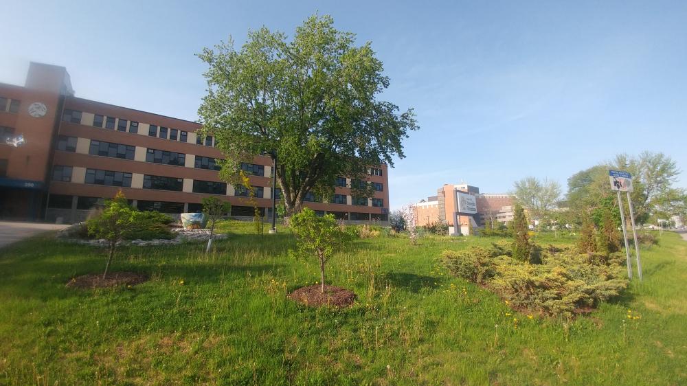 Jardin Pédagogique du Collège Nouvelles Frontières au printemps, le 20 mai 2022