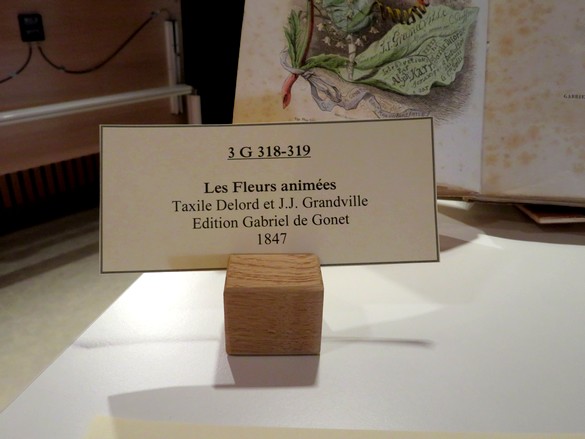Une superbe exposition de livres de contes a eu lieu à la médiathèque Victorine de Chastenay