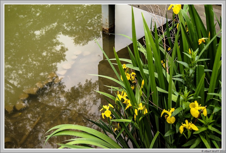 Mes spots du jour - 24/05/2012 - Nature