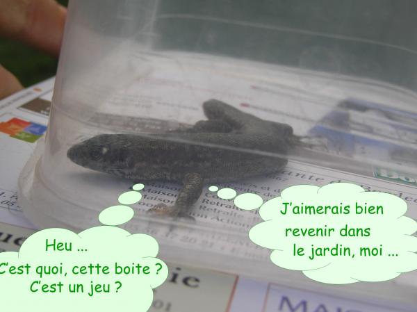 Vacances : merci Danielle et les =^.^= 
